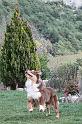au frisbie